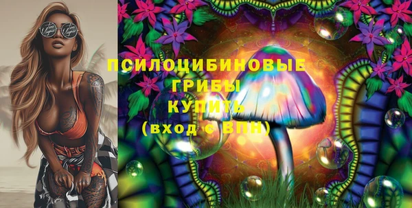 стафф Новокубанск