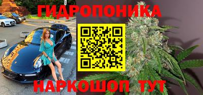 тгк Волжск