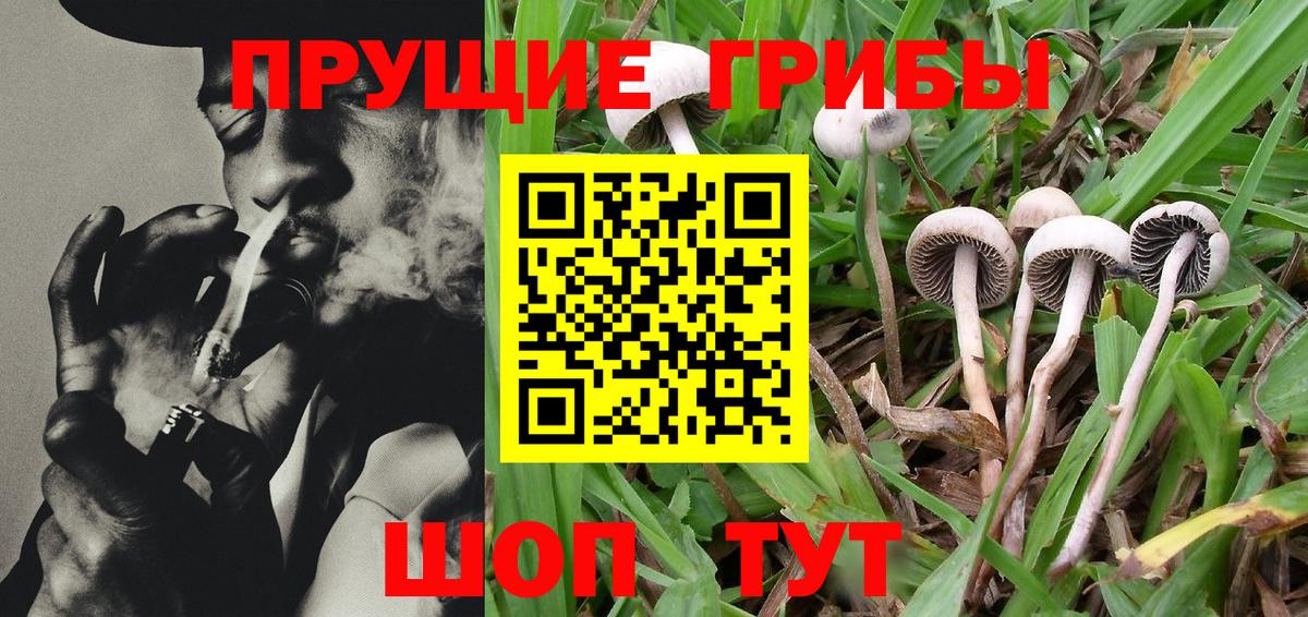 Галлюциногенные грибы MAGIC MUSHROOMS  Усть-Лабинск 